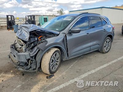 2021 FORD ESCAPE SEL 1FMCU9CZ0MUA42565 - główne zdjęcie licytacji z USA - miniatura