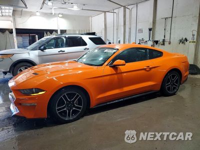 2020 FORD MUSTANG 1FA6P8TH9L5189363 - główne zdjęcie licytacji z USA - miniatura