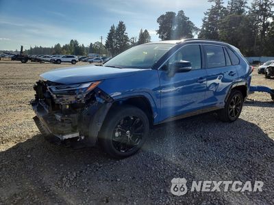 2024 TOYOTA RAV4 XSE JTME6RFV7RD561975 - główne zdjęcie licytacji z USA - miniatura