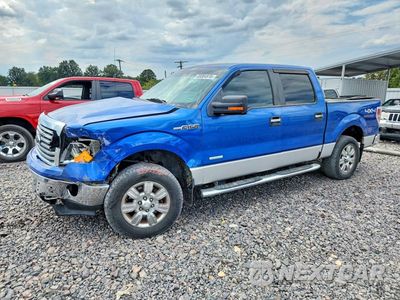 2012 FORD F150 SUPERCREW 1FTFW1ET5CKE34179 - główne zdjęcie licytacji z USA - miniatura