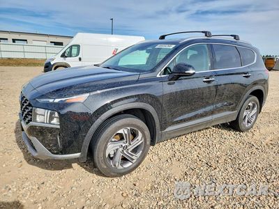 2023 HYUNDAI SANTA FE SEL 5NMS2DAJ2PH641338 - główne zdjęcie licytacji z USA - miniatura