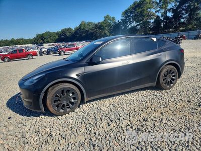 2023 TESLA MODEL Y 7SAYGDEE3PA074681 - główne zdjęcie licytacji z USA - miniatura