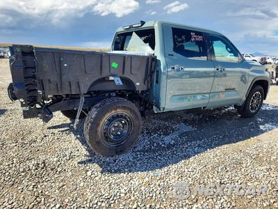 Trzecie zdjęcie samochodu z tyłu: 2025 TOYOTA TUNDRA SR5 VIN:5TFLA5DB8SX275709 - miniatura