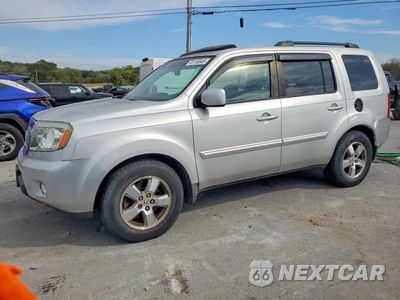 2009 HONDA PILOT EXL 5FNYF48669B027302 - główne zdjęcie licytacji z USA - miniatura
