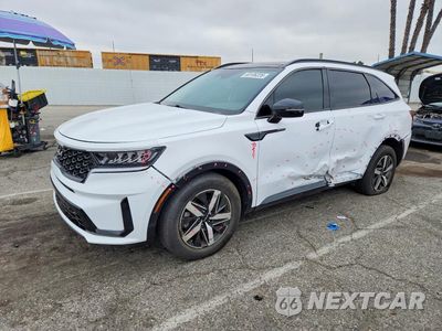 2023 KIA SORENTO S 5XYRL4LC9PG242009 - główne zdjęcie licytacji z USA - miniatura