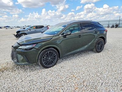 2024 LEXUS RX 350 PREMIUM 2T2BAMBA2RC048911 - główne zdjęcie licytacji z USA - miniatura