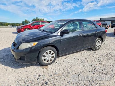 2010 TOYOTA COROLLA LE 1NXBU4EE7AZ345038 - główne zdjęcie licytacji z USA - miniatura