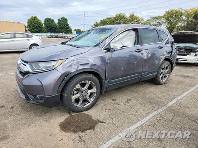 2019 HONDA CR-V EXL 5J6RW2H85KL017562 - główne zdjęcie licytacji z USA - miniatura