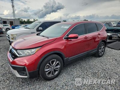 2020 HONDA CR-V EX 7FARW2H5XLE019635 - główne zdjęcie licytacji z USA - miniatura