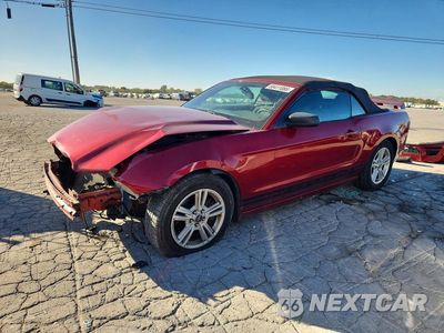 2014 FORD MUSTANG V6 COUPE 1ZVBP8EM1E5315198 - główne zdjęcie licytacji z USA - miniatura