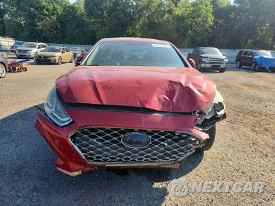 Piąte zdjęcie samochodu w środku: 2019 HYUNDAI SONATA SEL VIN:5NPE34AF3KH787765 - miniatura