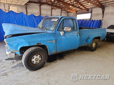 1981 CHEVROLET C20 1GCGC24M1BF322919 - główne zdjęcie licytacji z USA - miniatura