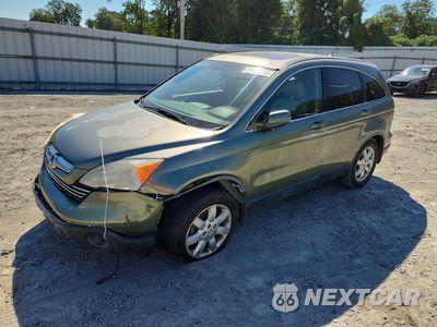 2007 HONDA CR-V EXL JHLRE38777C058081 - główne zdjęcie licytacji z USA - miniatura