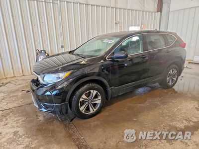 2019 HONDA CR-V LX 2HKRW6H38KH228051 - główne zdjęcie licytacji z USA - miniatura