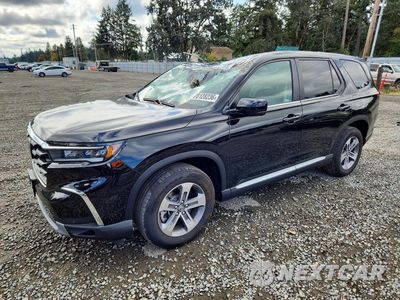 2025 HONDA PILOT EXL 5FNYG1H49SB181776 - główne zdjęcie licytacji z USA - miniatura