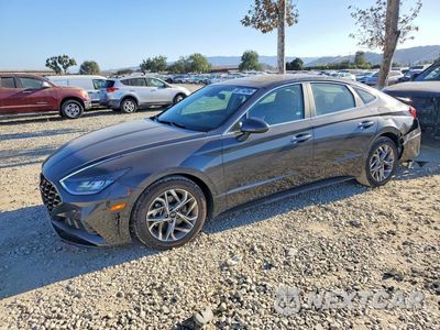 2021 HYUNDAI SONATA SEL 5NPEF4JA5MH095876 - główne zdjęcie licytacji z USA - miniatura