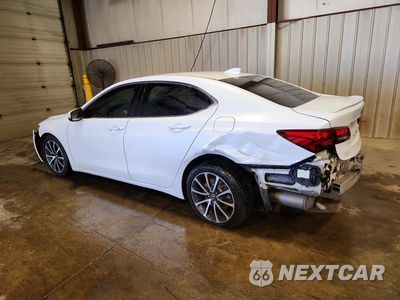 Drugie zdjęcie samochodu z przodu: 2015 ACURA TLX ADVANCE VIN:19UUB3F73FA010107 - miniatura