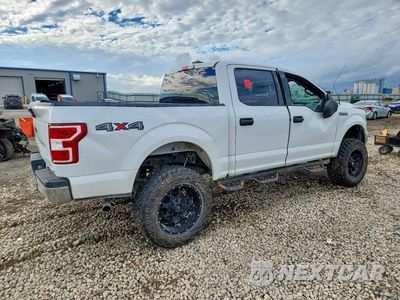 Trzecie zdjęcie samochodu z tyłu: 2020 FORD F150 SUPERCREW VIN:1FTEW1E41LFB21661 - miniatura