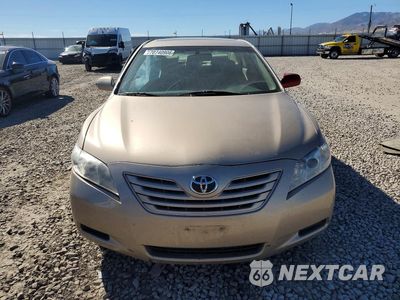 Piąte zdjęcie samochodu w środku: 2009 TOYOTA CAMRY LE VIN:4T1BE46K09U884694 - miniatura