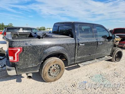 Trzecie zdjęcie samochodu z tyłu: 2016 FORD F150 SUPERCREW VIN:1FTEW1CP2GKD30191 - miniatura