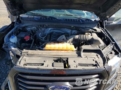 Zdjęcie 11 z 12 samochodu: 2015 FORD F150 SUPERCREW VIN:1FTFW1EF3FFA93503 - miniatura