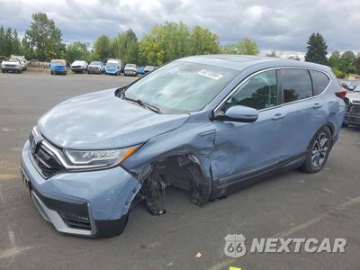 2022 HONDA CR-V EX 5J6RT6H5XNL010701 - główne zdjęcie licytacji z USA - miniatura