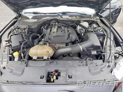 Zdjęcie 11 z 13 samochodu: 2018 FORD MUSTANG VIN:1FATP8UH6J5167013 - miniatura