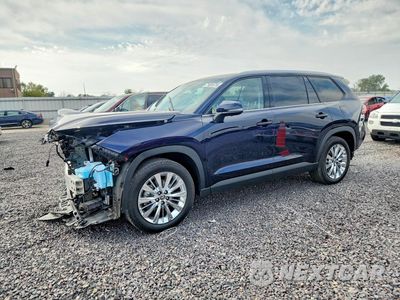 2025 TOYOTA GRAND HIGHLANDER PLATINUM 5TDAAAB54SS079723 - główne zdjęcie licytacji z USA - miniatura