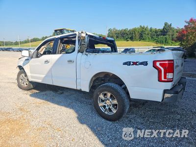 Drugie zdjęcie samochodu z przodu: 2016 FORD F150 SUPERCREW VIN:1FTEW1EF5GKD15320 - miniatura