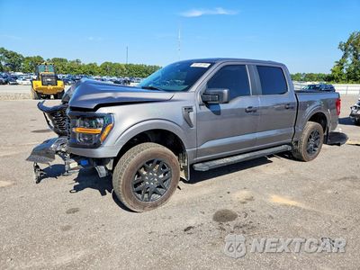 2024 FORD F150 STX 1FTFW2L54RKF60438 - główne zdjęcie licytacji z USA - miniatura