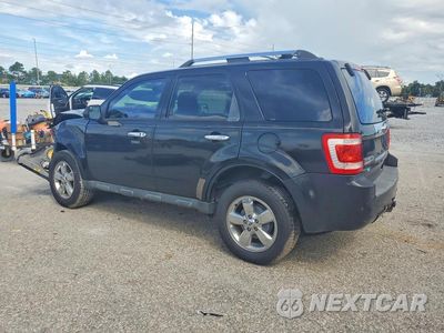 Drugie zdjęcie samochodu z przodu: 2011 FORD ESCAPE LIMITED VIN:1FMCU0EG6BKB01604 - miniatura