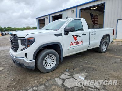 2025 GMC SIERRA C1500 3GTNHAED9SG241439 - główne zdjęcie licytacji z USA - miniatura