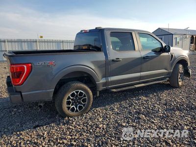 Trzecie zdjęcie samochodu z tyłu: 2023 FORD F150 VIN:1FTFW1E53PKF69927 - miniatura