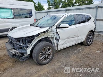 2020 HONDA CR-V EXL 2HKRW2H86LH687987 - główne zdjęcie licytacji z USA - miniatura