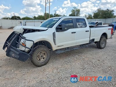 2025 FORD F250 SUPER DUTY 1FT8W2BTXSEE04319 - główne zdjęcie licytacji z USA - miniatura