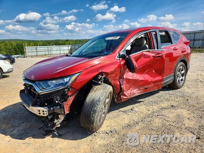 2019 HONDA CR-V 5J6RW2H84KL013048 - główne zdjęcie licytacji z USA - miniatura