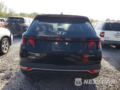 Zdjęcie 6 z 12 samochodu: 2024 HYUNDAI TUCSON BLUE VIN:KM8JBCD18RU140656 - miniatura