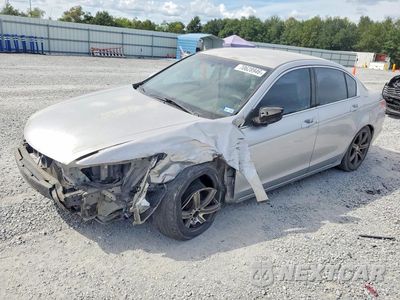 2008 HONDA ACCORD LX JHMCP26388C068870 - główne zdjęcie licytacji z USA - miniatura