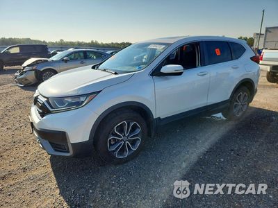 2020 HONDA CR-V EX 5J6RW2H59LL016647 - główne zdjęcie licytacji z USA - miniatura
