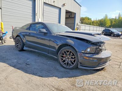 Czwarte zdjęcie samochodu z boku: 2009 FORD MUSTANG GT VIN:1ZVHT82H395126989 - miniatura