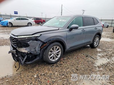 2024 HONDA CR-V EXL 2HKRS4H73RH479539 - główne zdjęcie licytacji z USA - miniatura