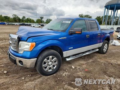 2013 FORD F150 SUPERCREW 1FTFW1ET4DKD81265 - główne zdjęcie licytacji z USA - miniatura