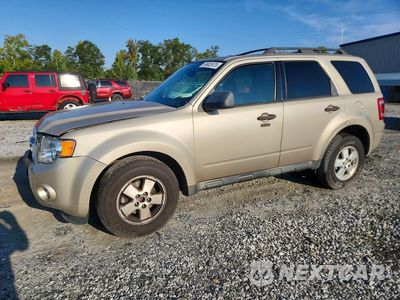 2011 FORD ESCAPE XLT 1FMCU0D74BKA42621 - główne zdjęcie licytacji z USA - miniatura