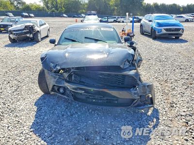 Piąte zdjęcie samochodu w środku: 2016 FORD MUSTANG VIN:1FA6P8AM5G5294553 - miniatura