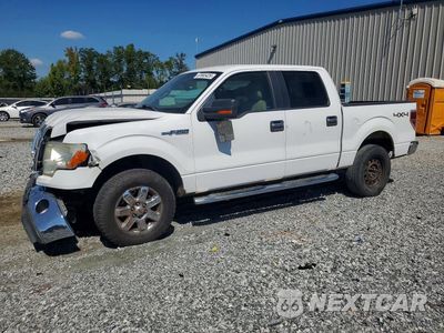 2013 FORD F150 SUPERCREW 1FTFW1EF9DKE59310 - główne zdjęcie licytacji z USA - miniatura
