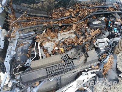 Zdjęcie 11 z 12 samochodu: 2022 TOYOTA COROLLA LE VIN:5YFEPMAE8NP325009 - miniatura
