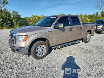 2012 FORD F150 SUPERCREW 1FTFW1CT2CFA65812 - główne zdjęcie licytacji z USA - miniatura