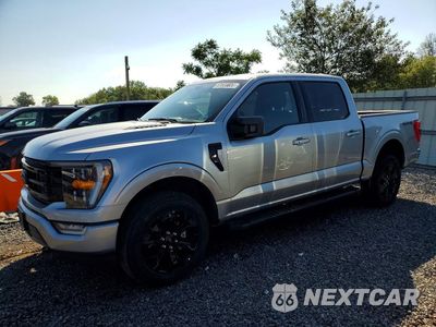 2023 FORD F150 SUPERCREW 1FTFW1E80PFB41056 - główne zdjęcie licytacji z USA - miniatura