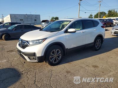 2022 HONDA CR-V EX 7FARW2H51NE036908 - główne zdjęcie licytacji z USA - miniatura