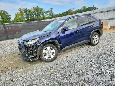 2019 TOYOTA RAV4 XLE JTMW1RFV8KD019082 - główne zdjęcie licytacji z USA - miniatura